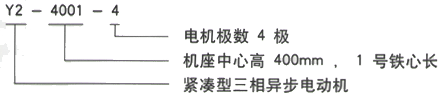 YR系列(H355-1000)高压YJTFKK4002-6三相异步电机西安西玛电机型号说明